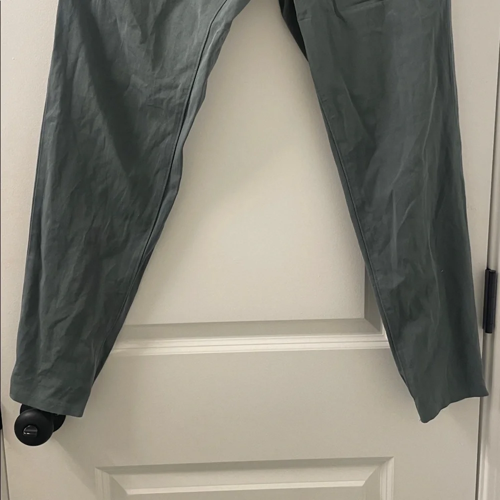 Everlane Jogger Chino Pants Size 30x30 Men's Light Teal